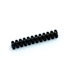 Domino