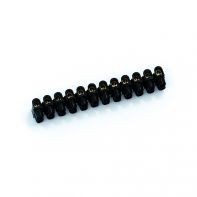 Domino