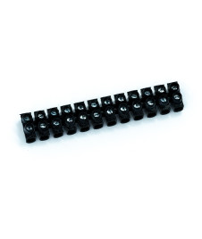 Domino