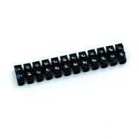 Domino