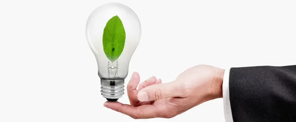 Feuille dans une ampoule tenue par un main. Symbolise l'électricité verte.